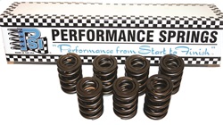 PSI Sportsman Drag Race Valve Spring - Click Image to Close